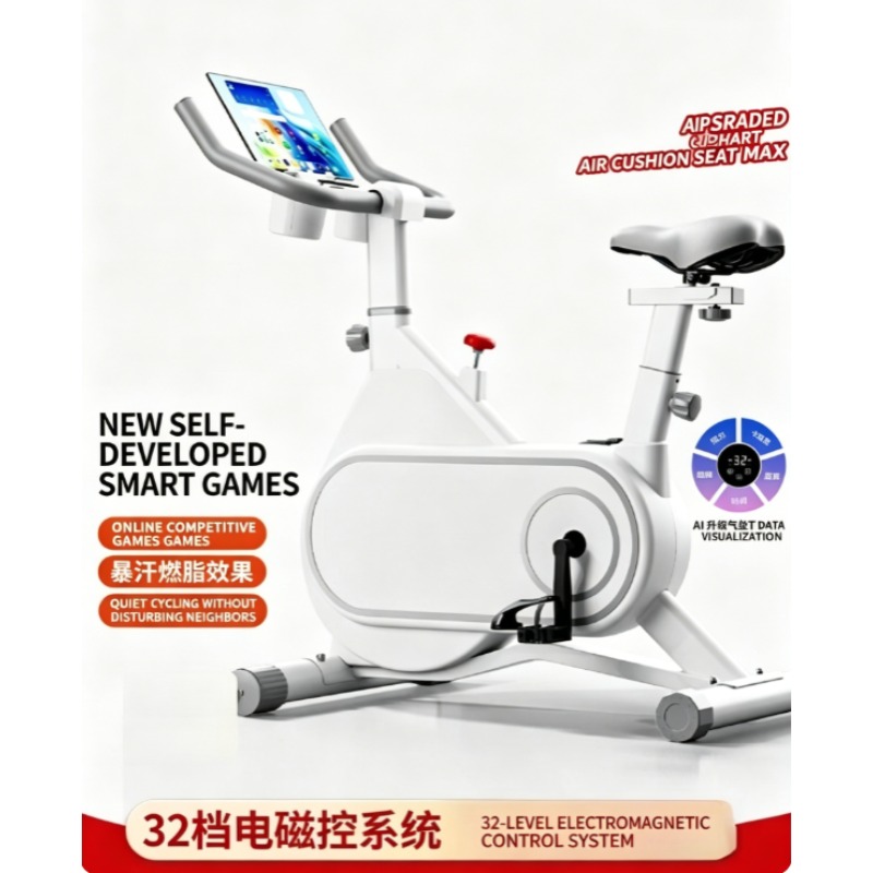 Exercise Bike Magnetic Resistance - Leises Magnetwiderstandsfahrrad, kompaktes Indoor-Trainingsfahrrad für Zuhause,