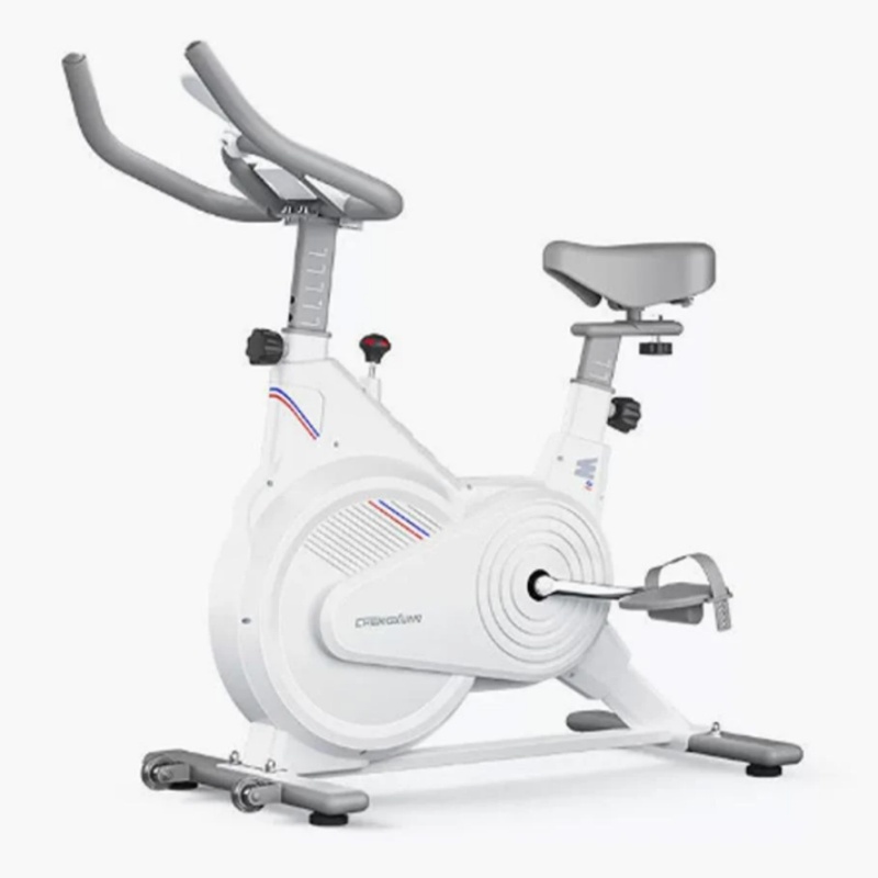 Exercise Bike Magnetic Resistance - Stationäres Indoor-Spin-Bike, Geräuscharmes Magnetwiderstand-Trainingsfahrrad mit LCD-Monitor,