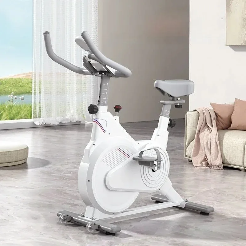 Schwarz-Weiße Heimtrainer für  – Exercise Bike Magnetic Resistance Bewertung und Preis