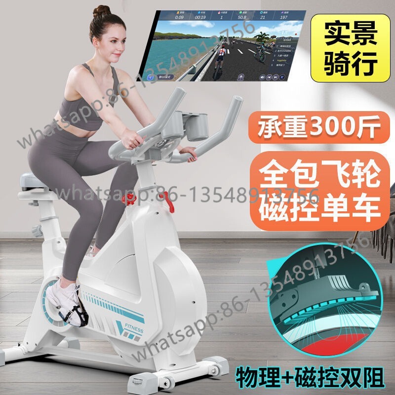 Magnetisches Spinning-Bike, ge – Exercise Bike Magnetic Resistance Bewertung und Preis